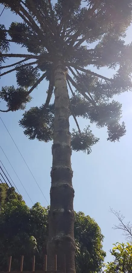 Recanto do Sonho em Campos do Jordão 0*,  Brasil