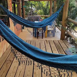 https://pousada-gopak.santa-catarina-brasil.com