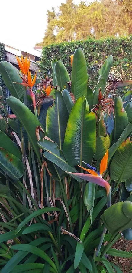 Recanto Do Sonho Em Campos Do Jordao 0*,  Brazil